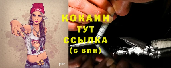 винт Абаза