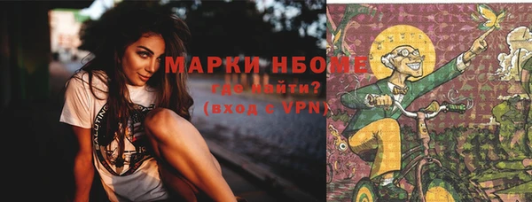 гидра Кущёвская