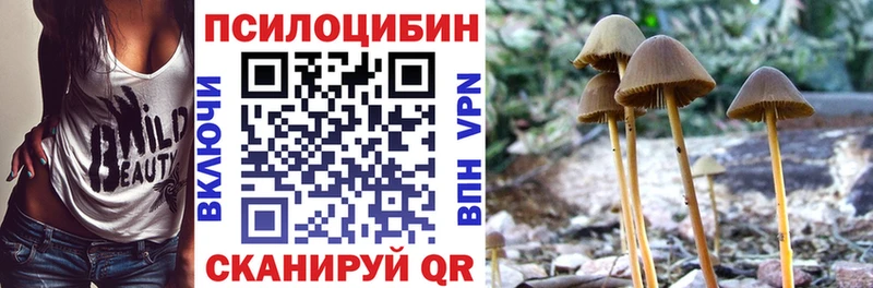 Псилоцибиновые грибы мицелий  Киренск 
